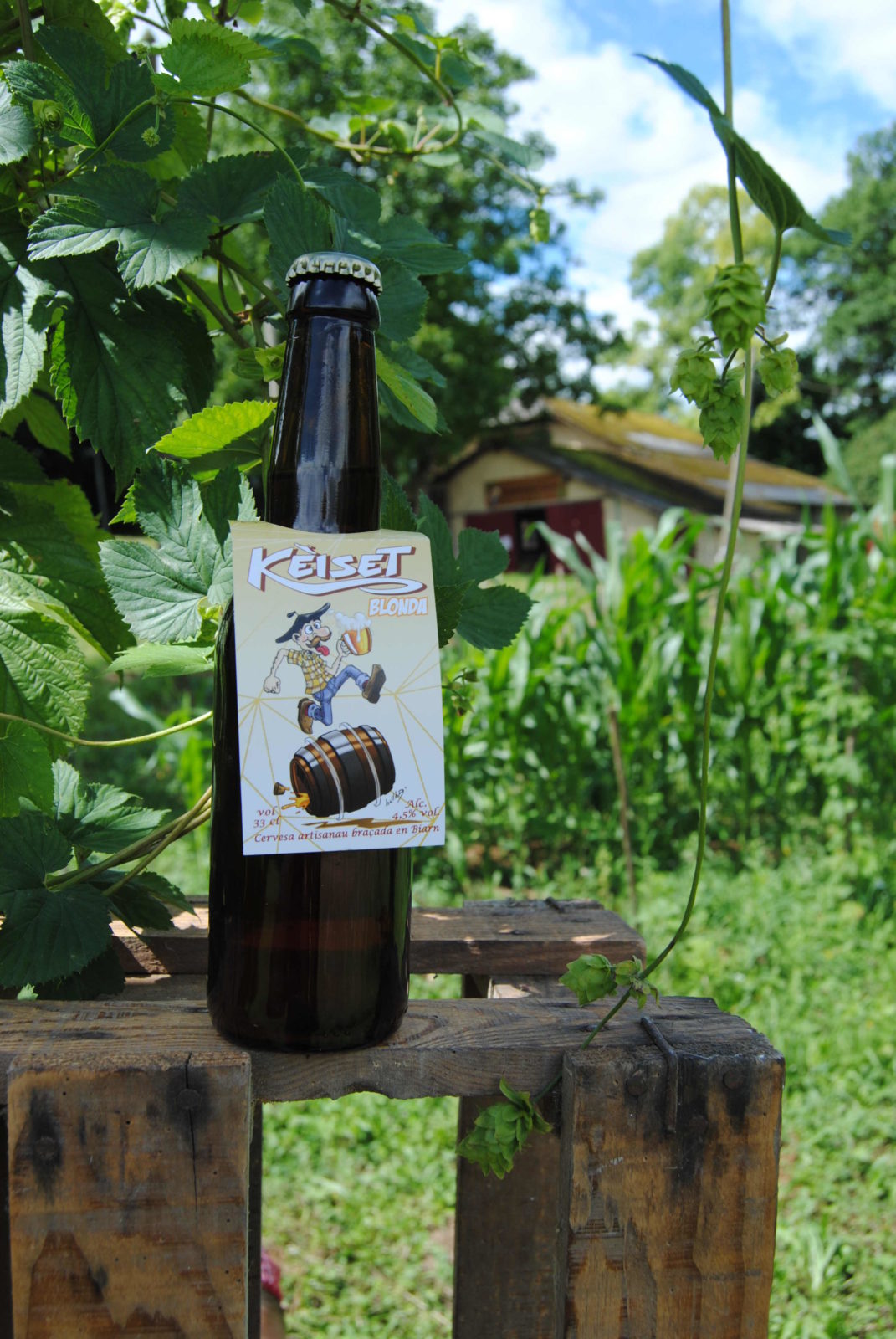 Bière artisanale blonde 33cl Bière artisanale blonde 33cl