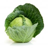 Chou de Pontoise