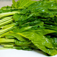 Blette épinard