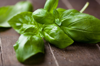 Aromatique basilic