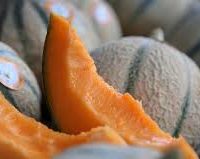 Melon