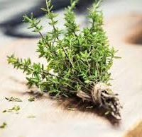 Aromatique thym frais