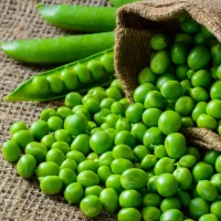 Petit pois