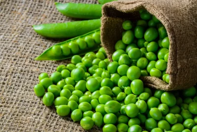 Petit pois