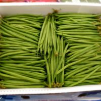 Haricot vert conserve