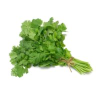 Aromatique coriandre