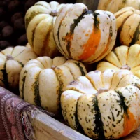 Patidoux