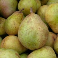 Poire